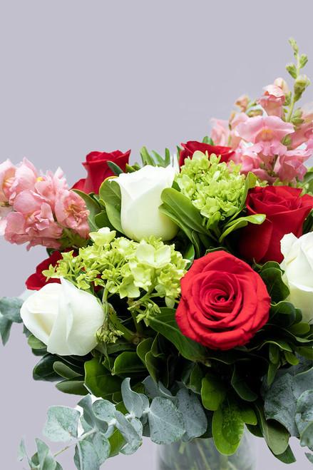 Momentos / Rosa Roja y Blanca, Hortensia TJ