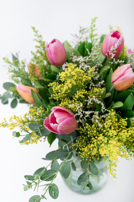Amistad / Tulipanes TJ