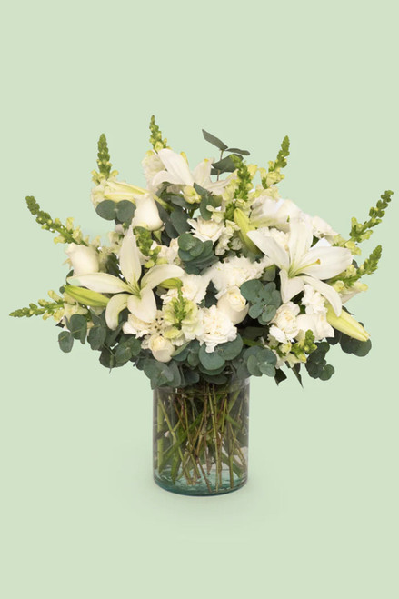 Luz Eterna / Lilium y Clavel Blanco TJ