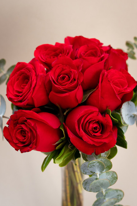 La Vida en Rosa Petite / Rosa Roja ENS