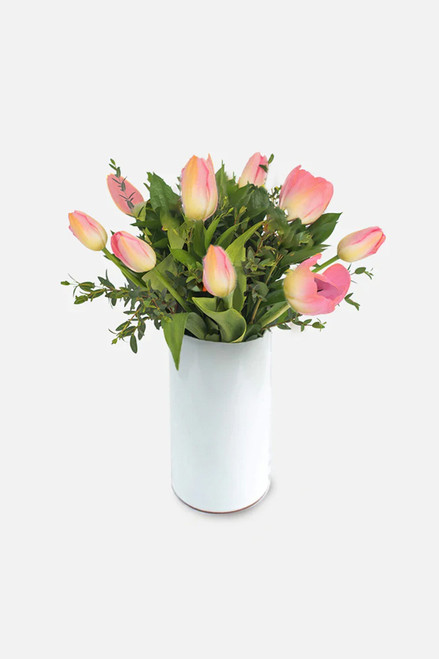 Contenta / Tulipán GDL