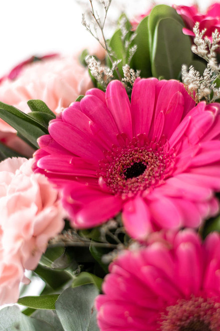 Noche en París / Gerbera Rosa y Clavel Rosa MTY