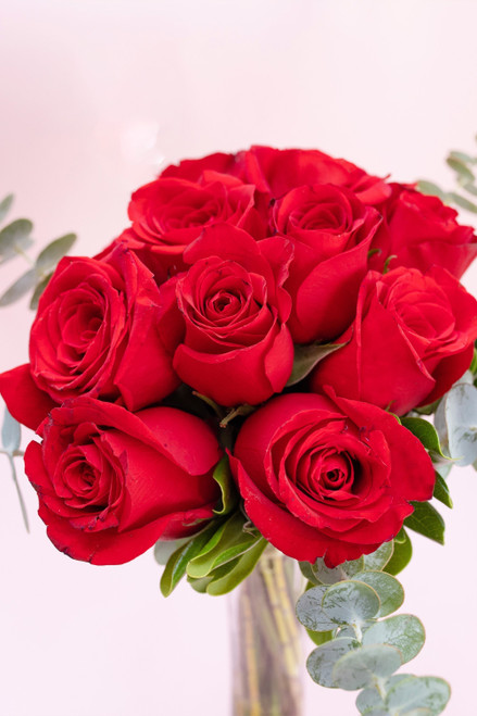 12 Rosas Rojas / Flores MTY