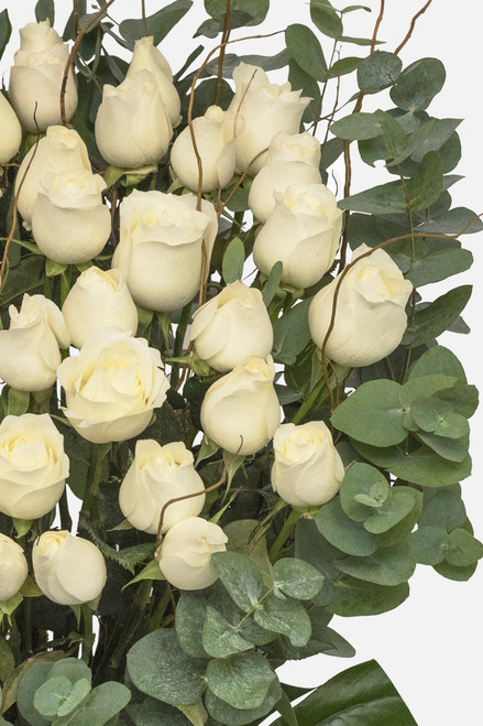 Arreglo Fúnebre / 50 Rosas Blancas CUN