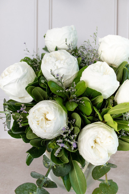Bondad / Peonia Blanca CUN