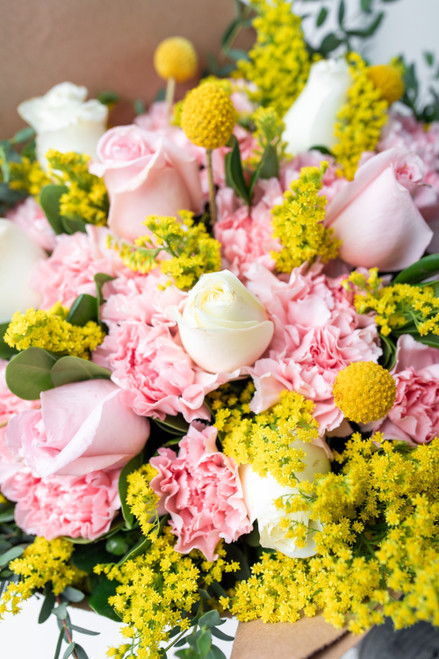 Creativo / Clavel Rosa y Rosa Blanca LEON