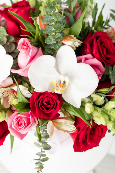 Destino / Caja de Rosas Rojas y Rosas con Orquídea Cuau. Izc.