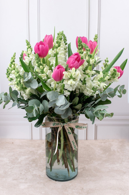 Aires de Holanda / Tulipán y Perrito Blanco GTO.