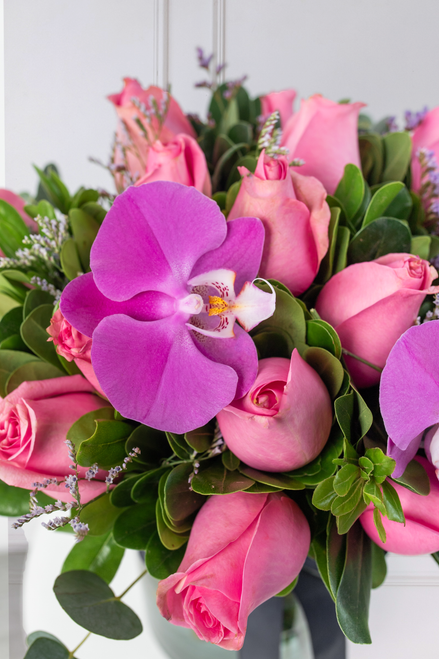 Nube Rosa / Rosa Clarita y Orquídea Morada Atizapán