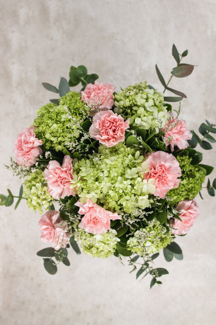 Chai Matcha / Clavel Rosa y Hortensia MZN