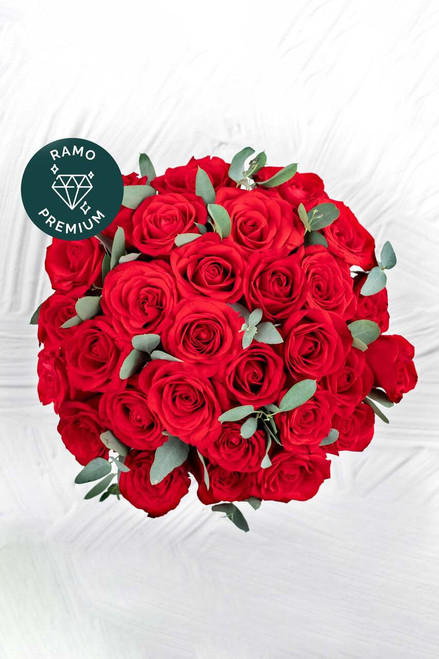 Catarina / Caja Rosas Rojas MZN