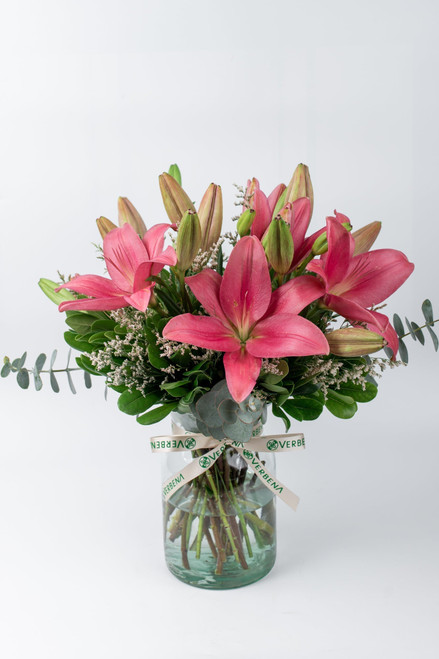 Las Brisas / Lilium Rosa MZN