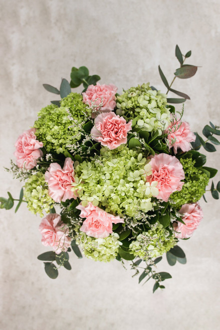 Chai Matcha / Clavel Rosa y Hortensia PACH.