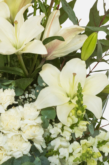 Consuelo / Lilium, Rosa y Clavel Blanco PACH.