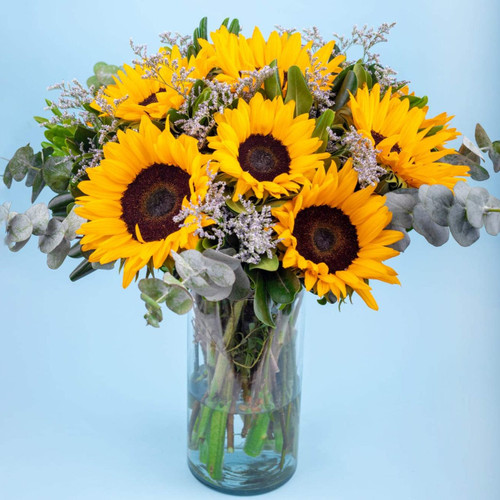 Sonrisa de Sol / Girasoles V. BRAVO
