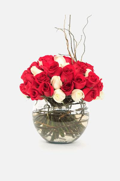 Burbujas de Amor / Rosas Blancas y Rojas en Pecera CAMP