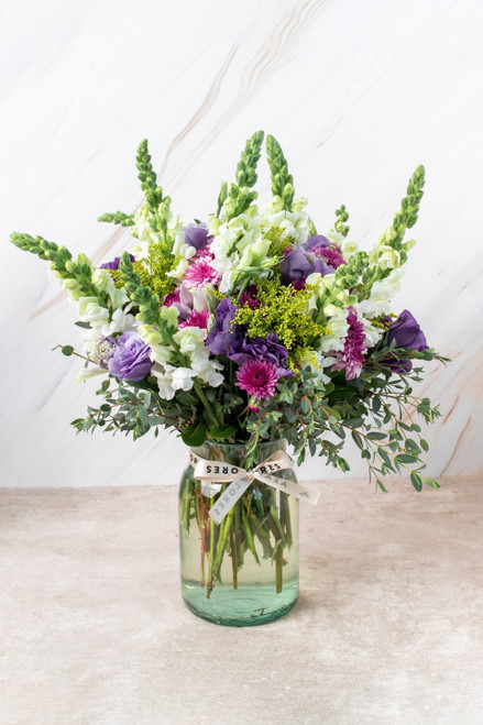 Aurora Boreal / Lisianthus Morada, Morelianas y Perrito Blanco CAMP