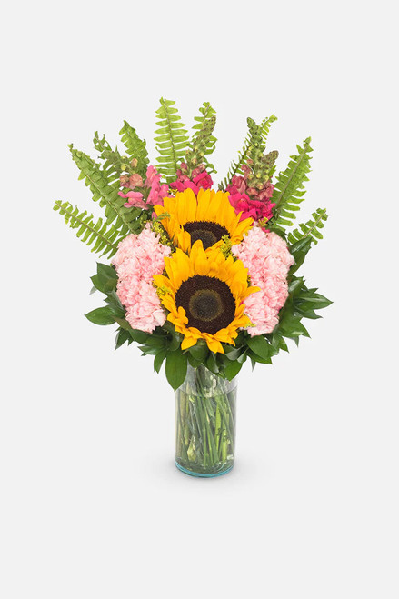 Feliz Día / Girasoles y Claveles Rosas MER