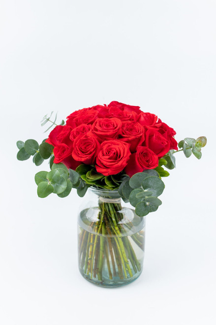 La Vida en Rosa / Rosas Rojas MER