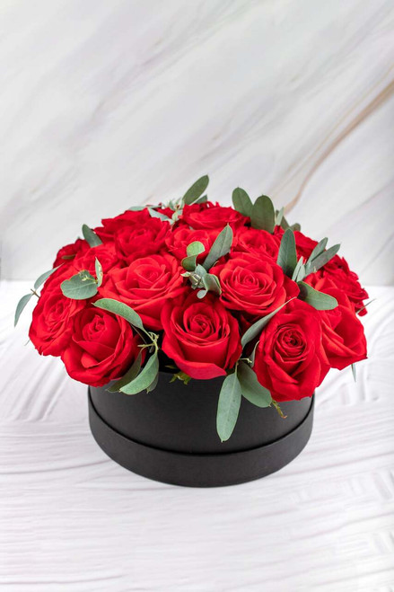 Catarina / Caja Rosas Rojas PDC