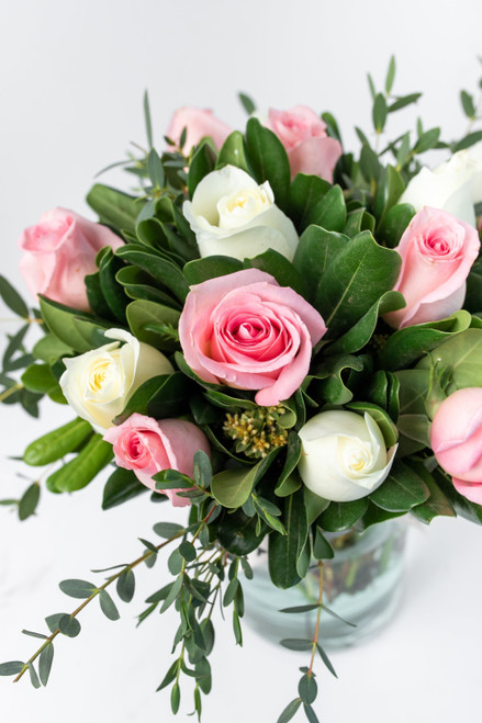 Grecia / Rosas Blancas y Rosas Claritas PDC