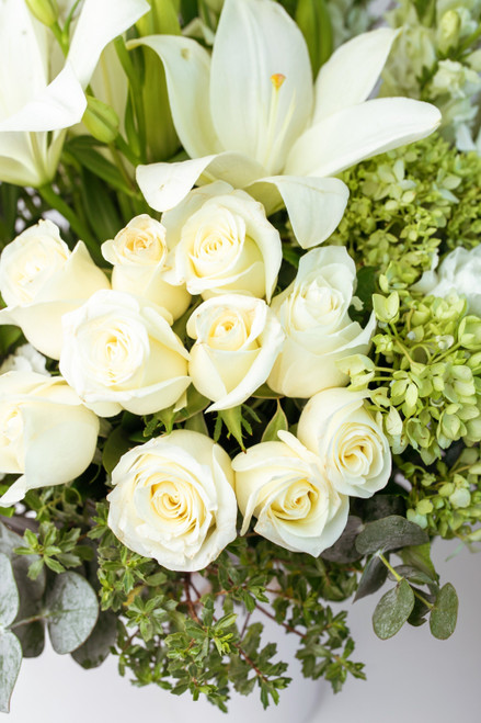A Tu Memoria / Rosa Blanca y Lilium Blanco PDC
