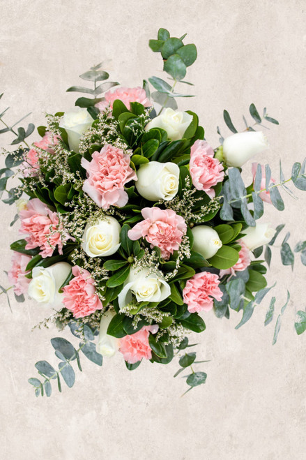 Arabella / Rosa Blanca y Clavel Rosa PDC
