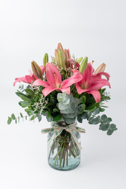 Las Brisas / Lilium Rosa PDC