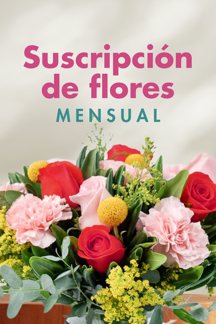 Suscripción / Mensual