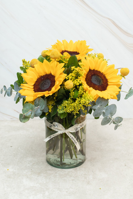 Eterna Primavera / Girasol y Craspedia 21SF (B)