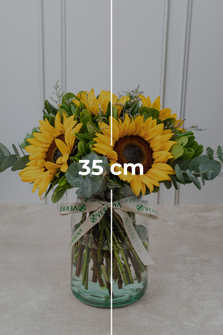 Sonrisa de Sol / Girasoles CUN