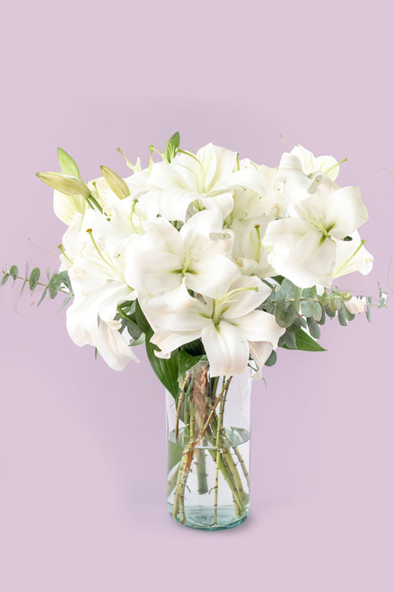 Casa Blanca / Lilium Blanca ACA