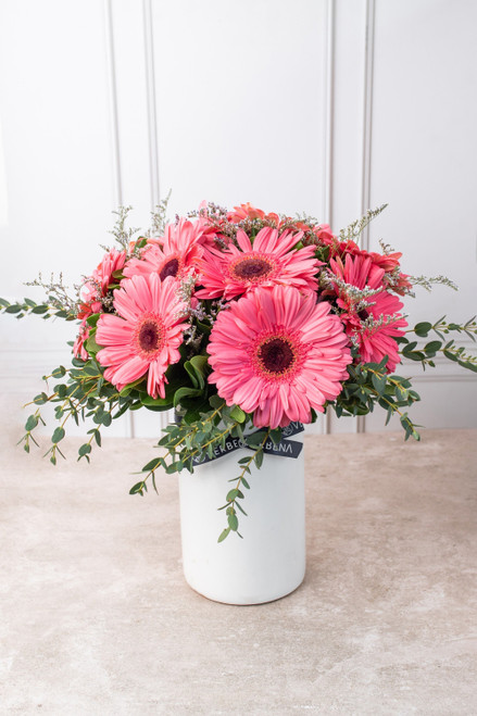 Dulce Primavera / Gerbera Rosa ACA
