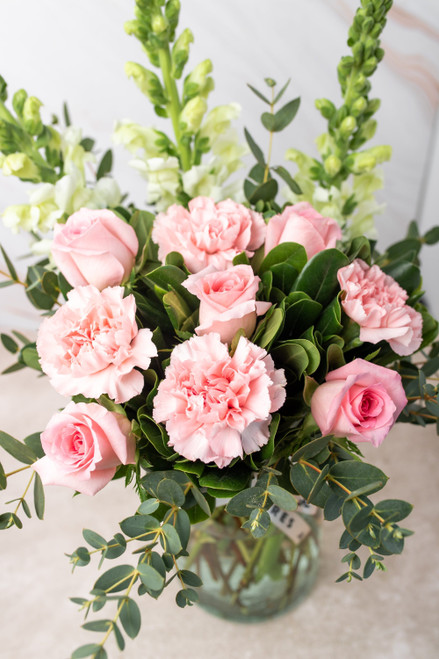 Campo Rosa / Rosa Clara y Clavel Rosa CEL.