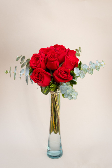 La Vida en Rosa Petite  / Rosa Roja IRAPUATO