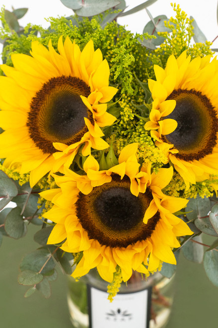 Tres motivos / Girasoles CULIACAN