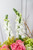Brillante / Rosa Clarita y Hortensia CABOS
