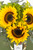 Tres motivos / Girasoles CABOS