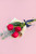 Ramo 3 Rosas Rojas / Envoltura Yute TGZ