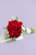 Ramo 30 Rosas Rojas / Envoltura Yute XAL