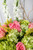 Brillante / Rosa Clarita y Hortensia PTO. ESCOND.