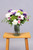 Alma de Vino / Rosa Clarita, Clavel Blanco y Hortensia PTO. ESCOND.