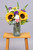 Emocionante / Girasol, Clavel Rosa y Blanco, Hortensia PTO. ESCOND.