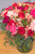 Enamorados / Rosa Roja y Astromelia Rosa PTO. ESCOND.