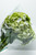 Paquete Hortensia Verde