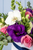 Verona / Caja de Rosas Claritas con Lisianthus y Orquídea CH/IXT