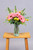 Optimista / Gerbera Rosa, Craspedía Amarilla CH/IXT