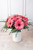Dulce Primavera / Gerbera Rosa CH/IXT
