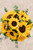 Sonrisa de Sol / Girasoles (OBREGÓN)