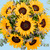 Sonrisa de Sol / Girasoles (OBREGÓN)